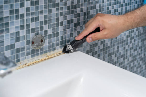 Best Affordable Mold Removal  in Lexico, CA